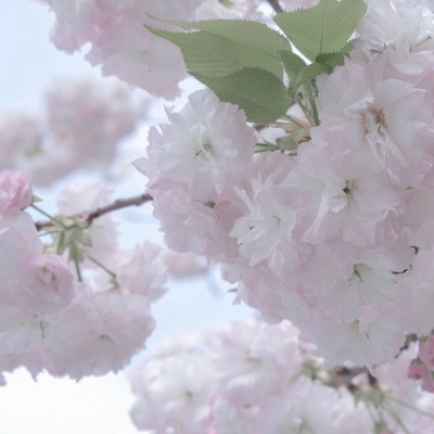 兽设配饰设计灵感合集兽圈社群